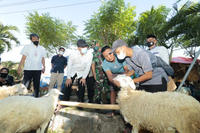 1657258435_a2195cc0eac506b0d51c