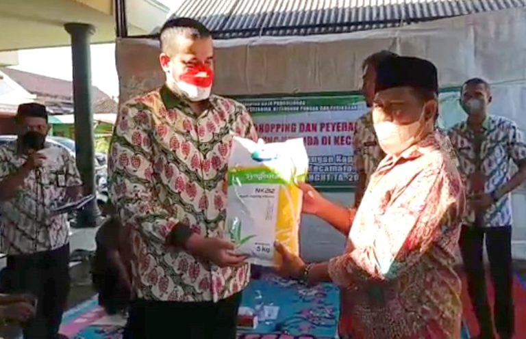 benihjagung4