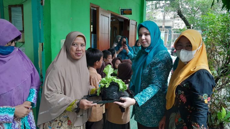 sayur2