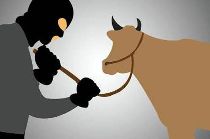 WhatsApp-Image-2022-12-03-at-14.41.15-1