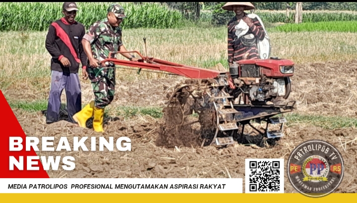 Gerakan Antisipasi Darurat Pangan Nasional, Koramil Besuk Dampingi Petani  