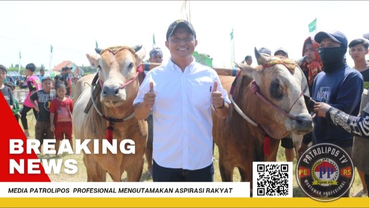 Pembukaan Kerapan Sapi Brujul Dandim 0820 Cup, Mengangkat Tradisi Unik Kota Probolinggo Ke Pentas Nasional
