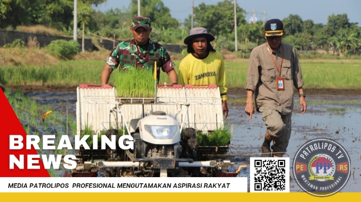 Sukseskan Gerakan Antisipasi Darurat Pangan Nasional, Dandim 0820/Probolinggo Turun Langsung Dampingi Petani