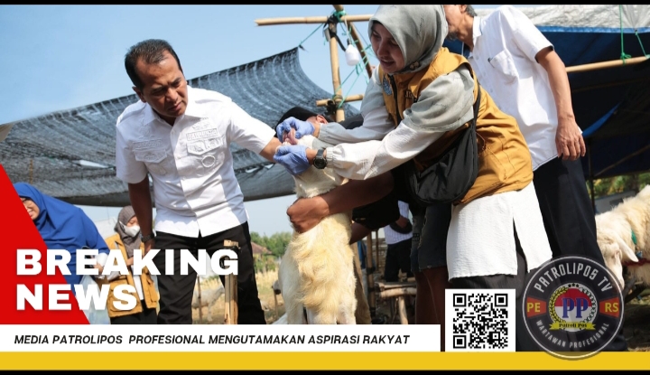 PJ Walikota Probolinggo Nurkholis Sidak Hewan Kurban Pastikan Standar “ASUH” Terpenuhi