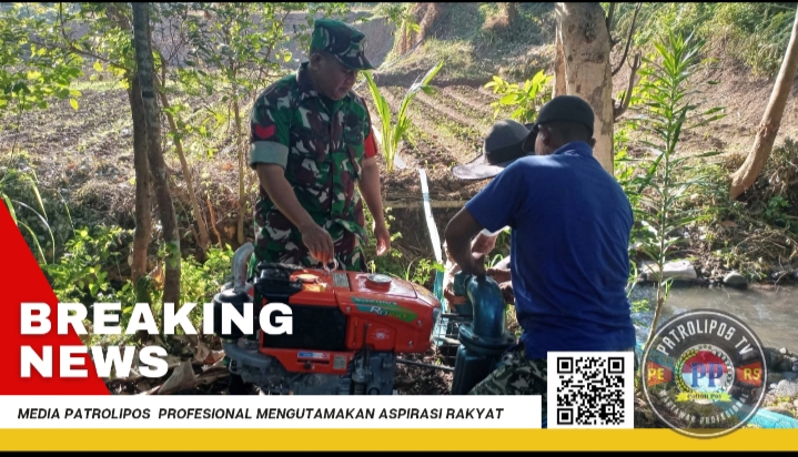 Sukseskan Gerakan Antisipasi Darurat Pangan Nasional, Koramil Maron Dampingi Pompanisasi Lahan Pertanian Wilayah Binaan