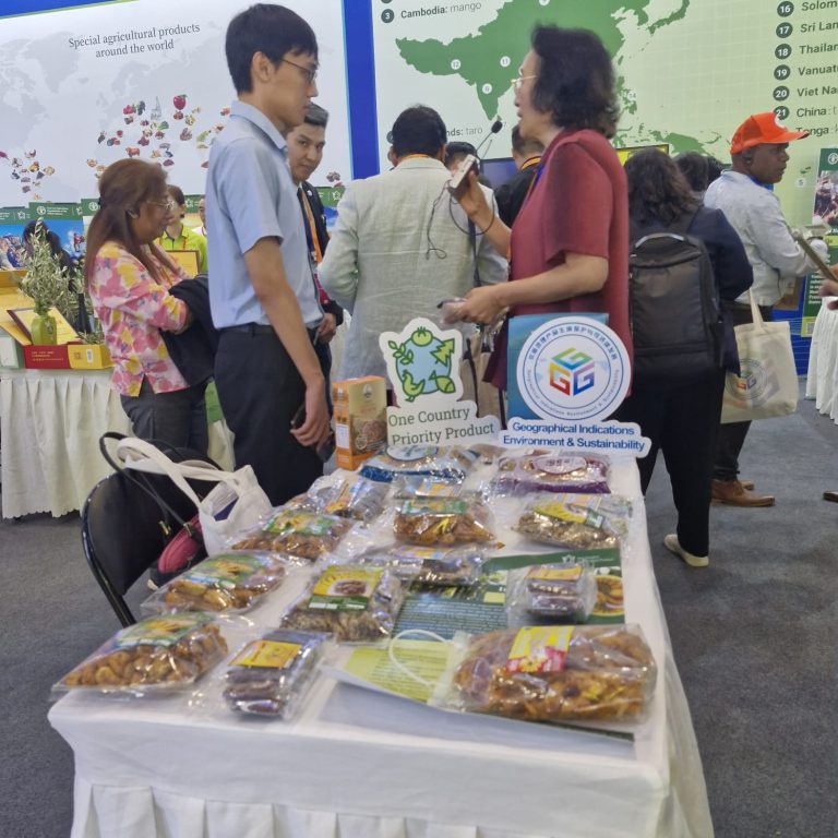 IMG-20240925-WA0000