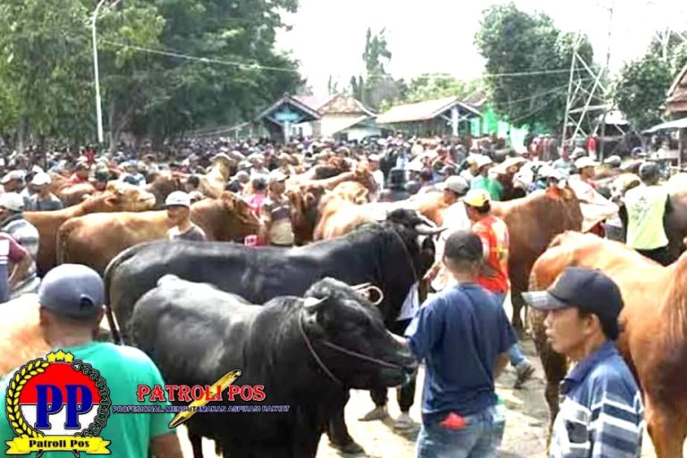 9 PASAR SAPI