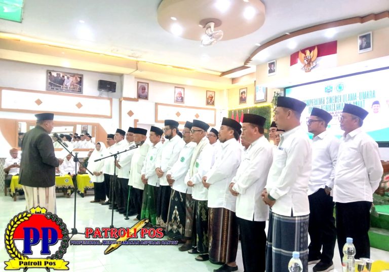 WhatsApp Image 2026-02-11 at 10.27.45