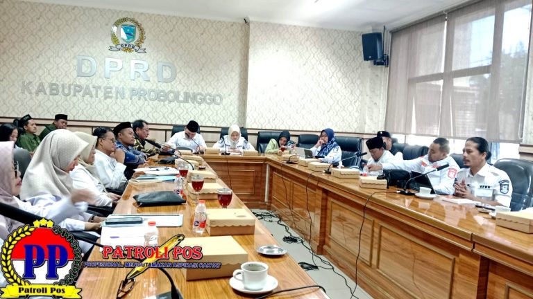 WhatsApp Image 2026-02-11 at 15.34.33