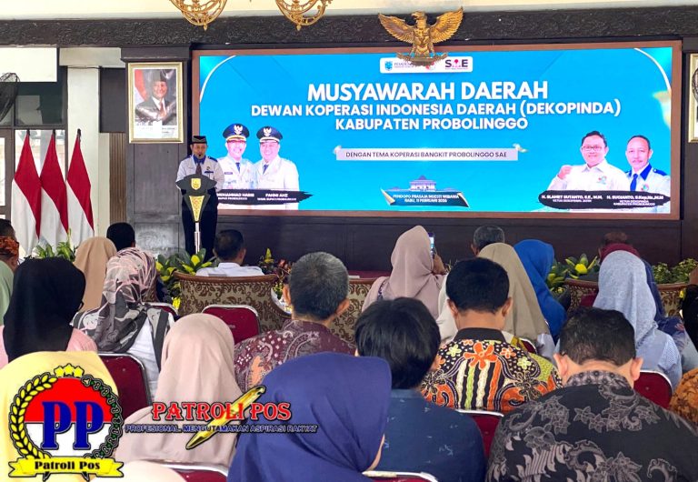 WhatsApp Image 2026-02-12 at 09.29.54