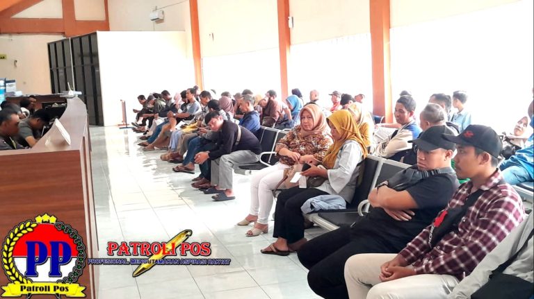 WhatsApp Image 2026-02-14 at 10.11.00