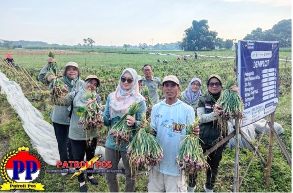 Galleryit_20260403_1775183537