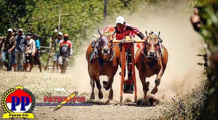 Galleryit_20260405_1775376538