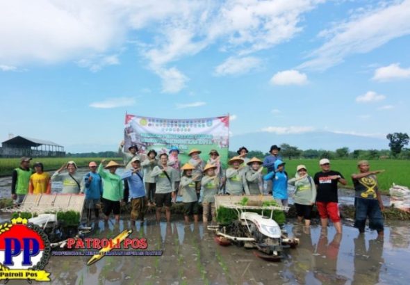 Galleryit_20260423_1776937741