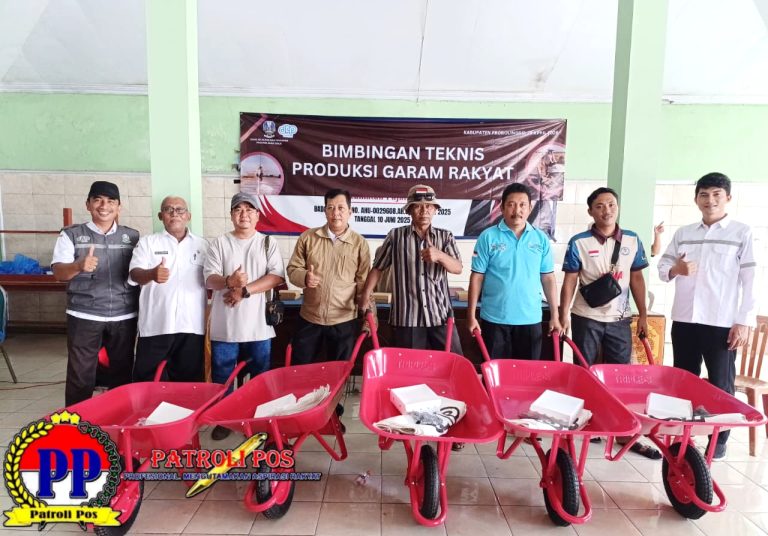 Galleryit_20260429_1777472192