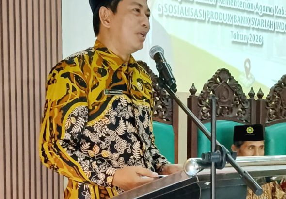 WhatsApp Image 2026-04-15 at 16.21.21