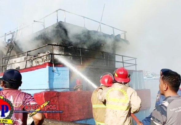 WhatsApp Image 2026-04-20 at 19.59.06