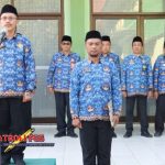 APEL 17